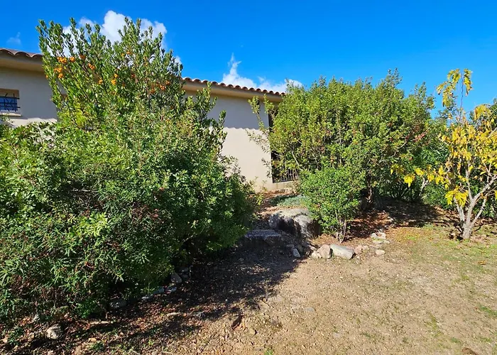 Catalina 3-albitru- Piscine En Residence- Vue Mer- A Pieds