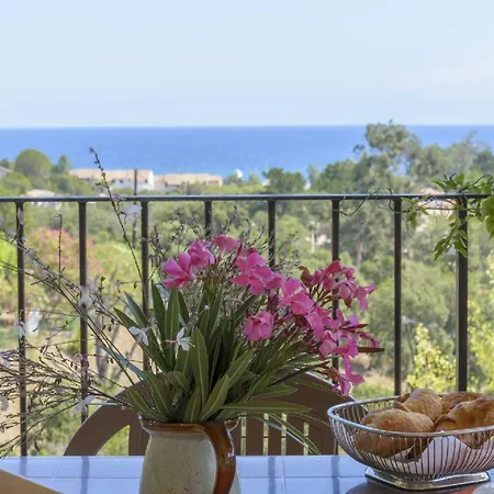 Albitru- Piscine A Partager- Wifi- Vue Mer- A Pieds *