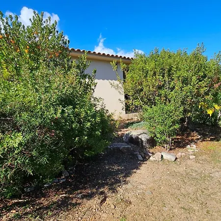 Albitru- Piscine A Partager- Wifi- Vue Mer- Plage A Pieds